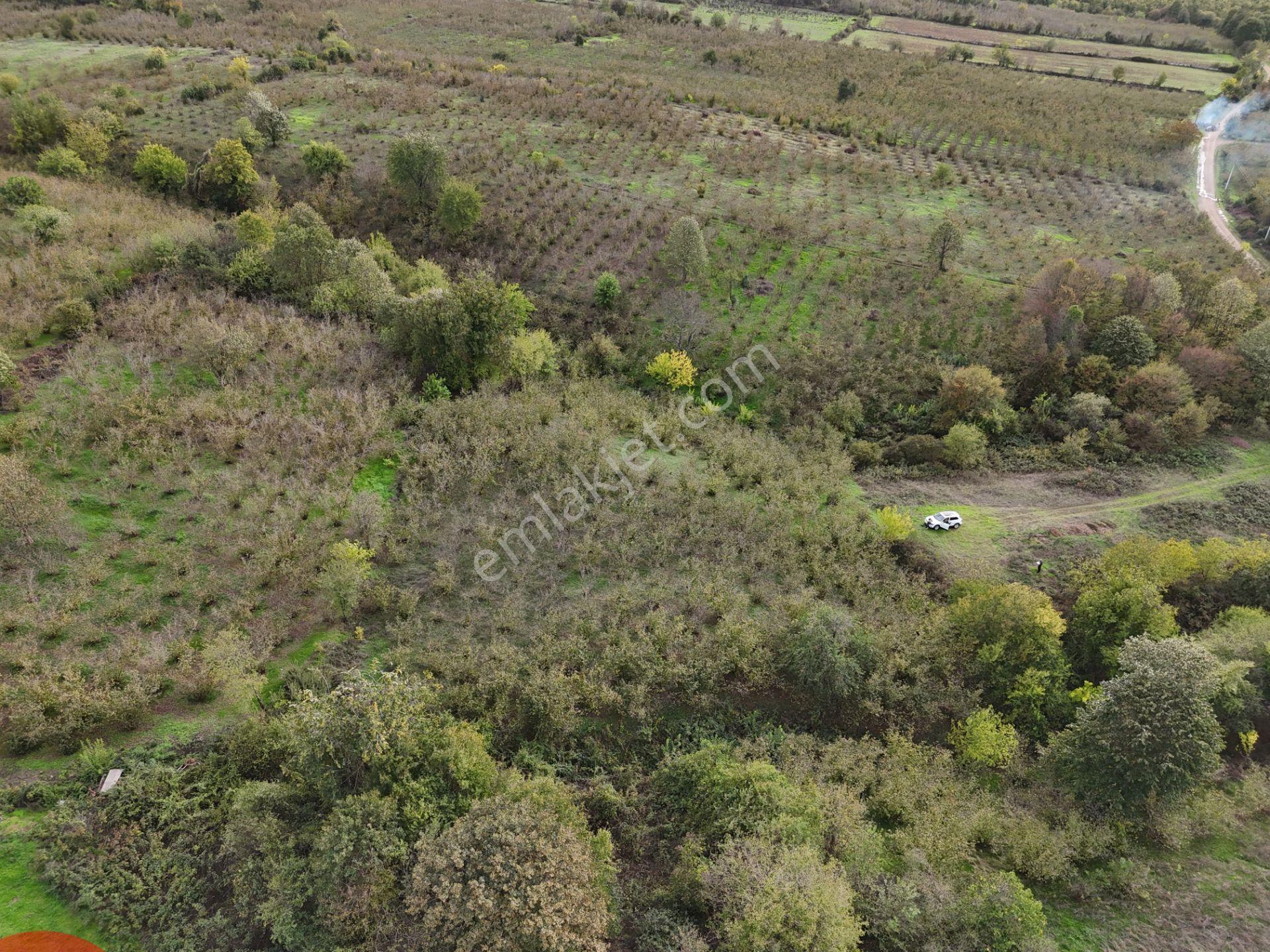 Emlak Evim - İkramiyede 4068 M2 Yarısı İmarlı Arsa - Görsel 27