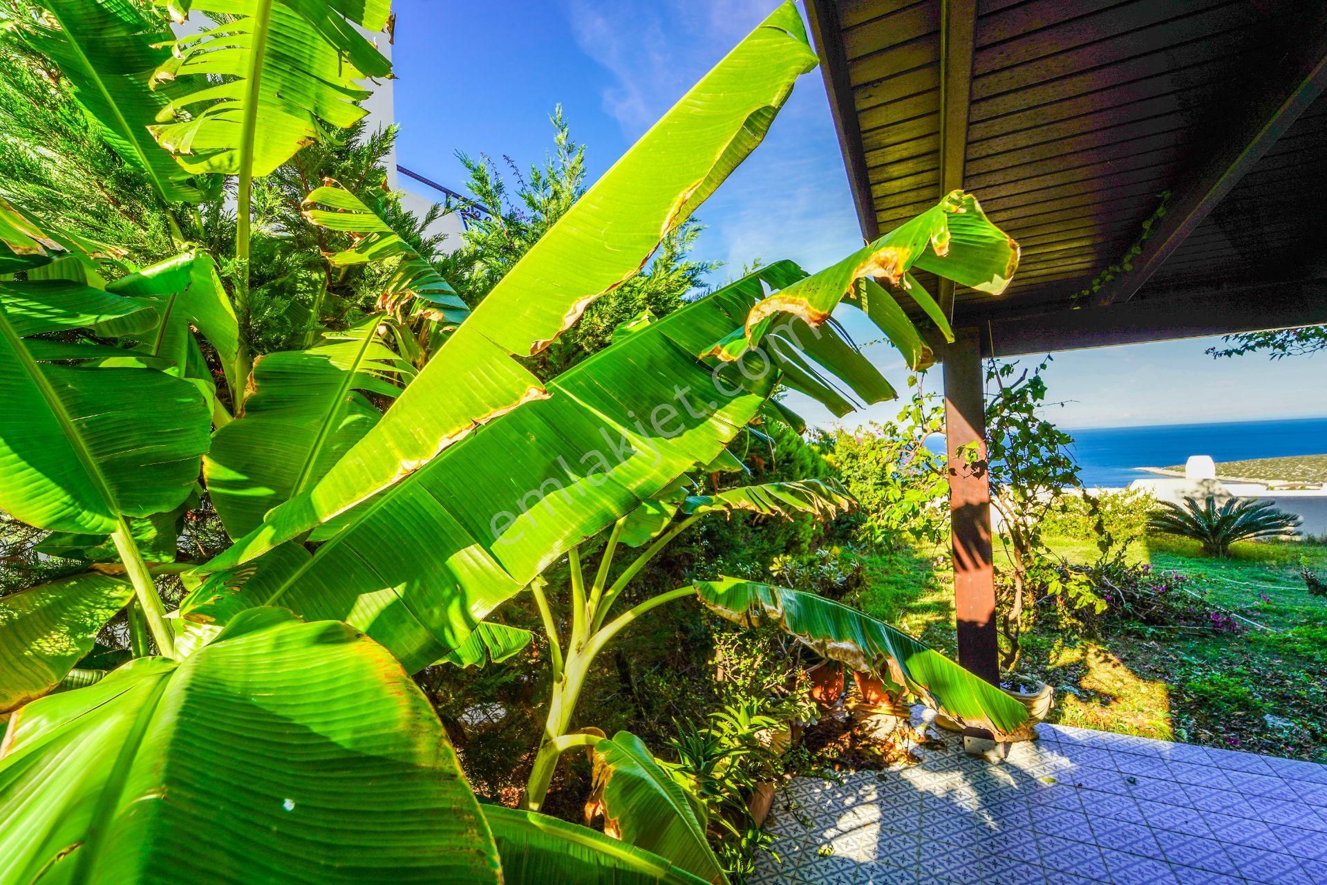 Yıllık Kiralık Koyunbaba Deniz Manzaralı Site Havuzlu Villa - Görsel 11