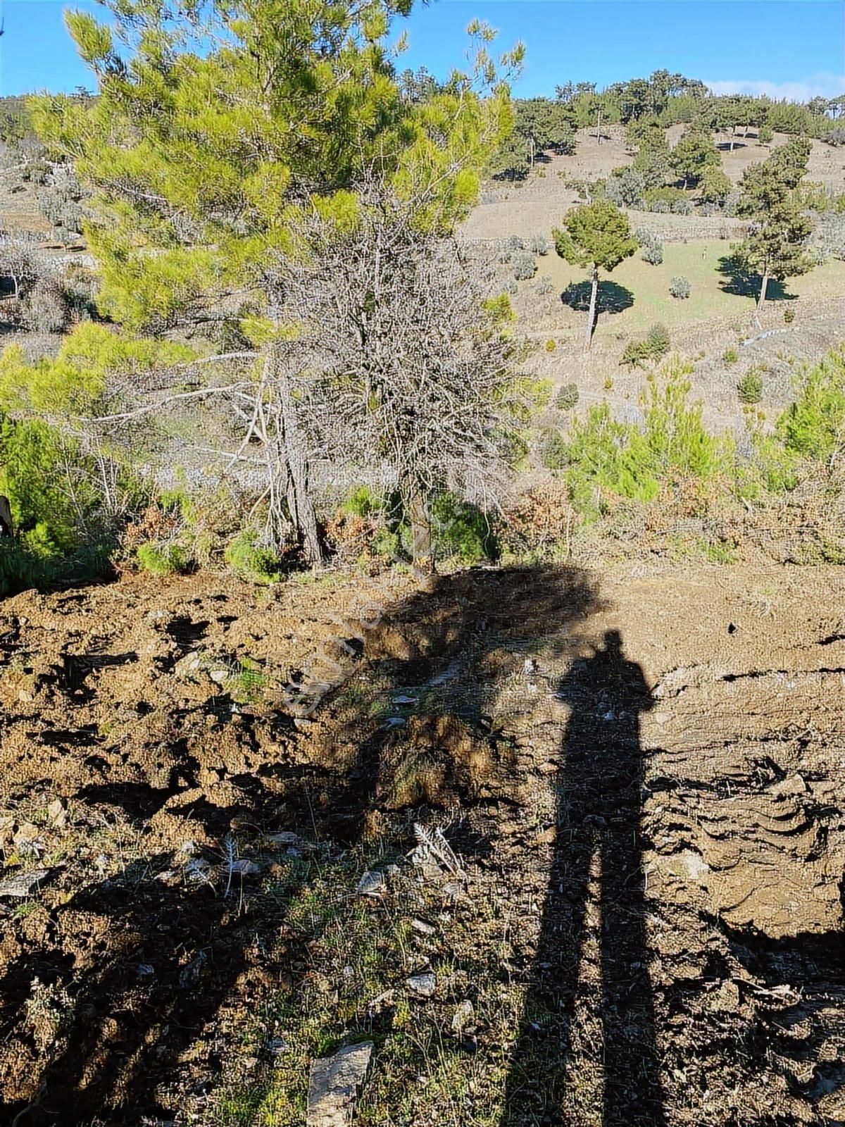 Muğla Menteşe Meke Mahallesi Satılık Tarla - Görsel 3
