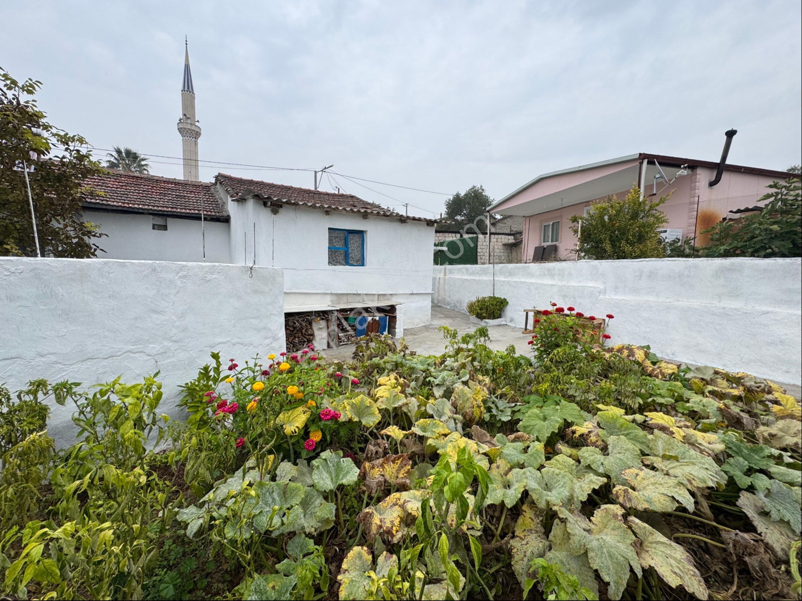 Satılık Avlulu Köy Evimiz - Görsel 3
