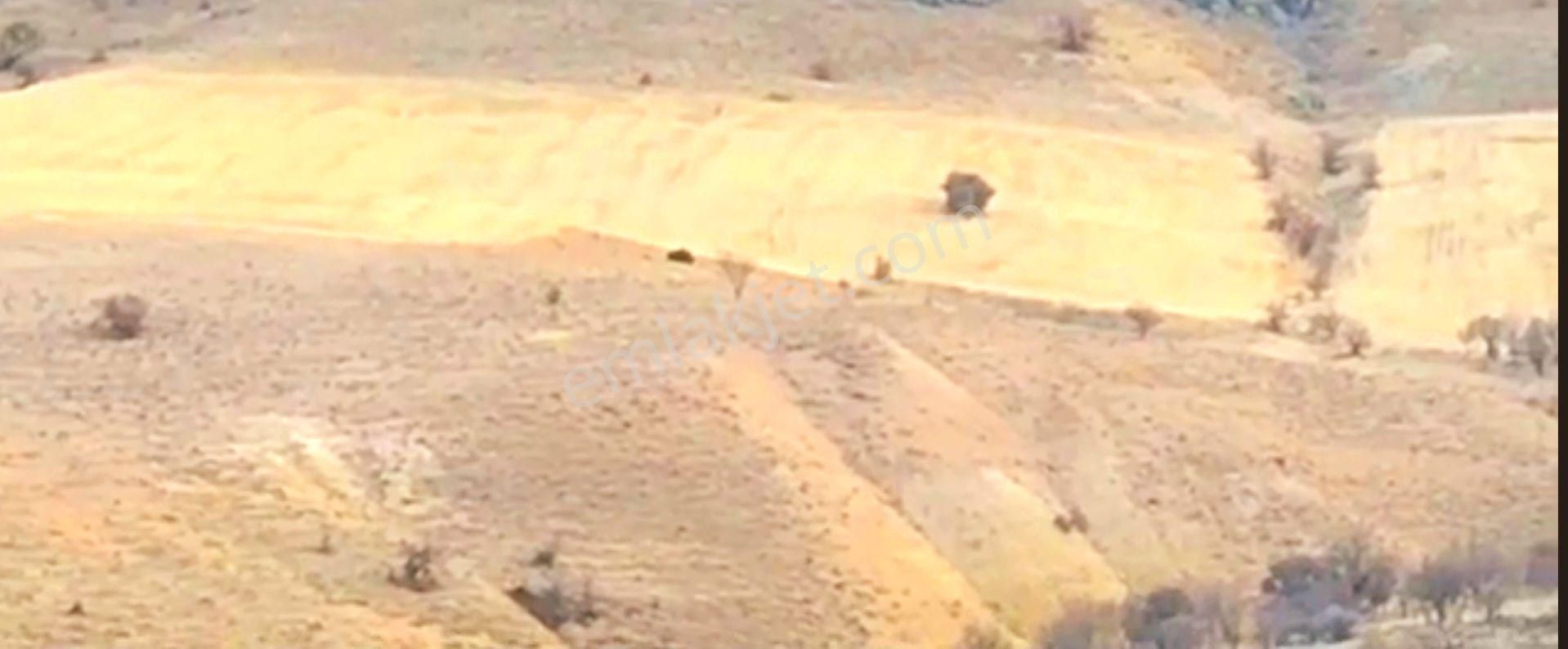 Sahibinden Satılık Dişidinin En Uygun Tarlası - Görsel 2