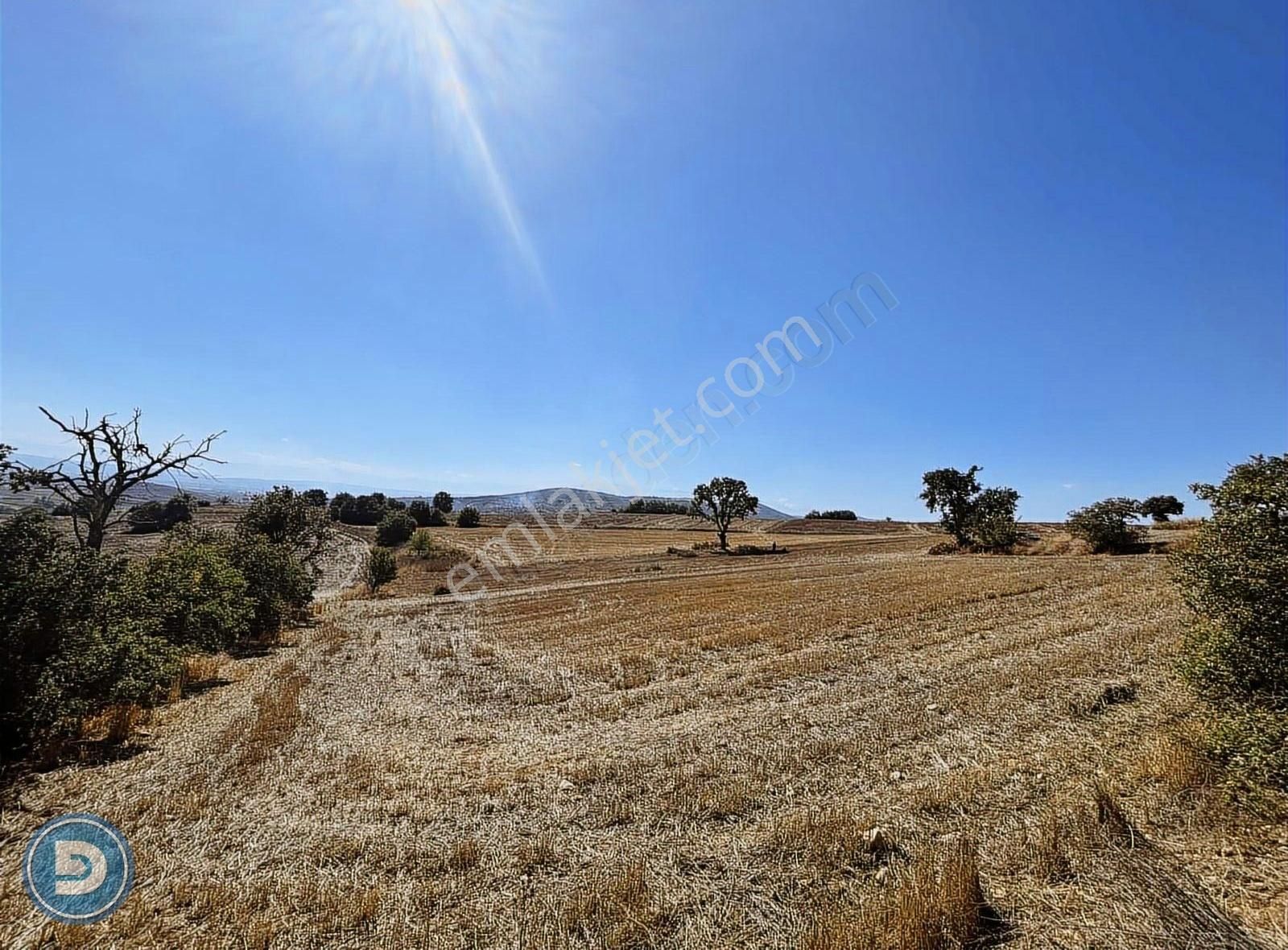 Dost Emlaktan Yenişehir Kavaklıda 3.100m2 Hesaplı Tarla - Görsel 17