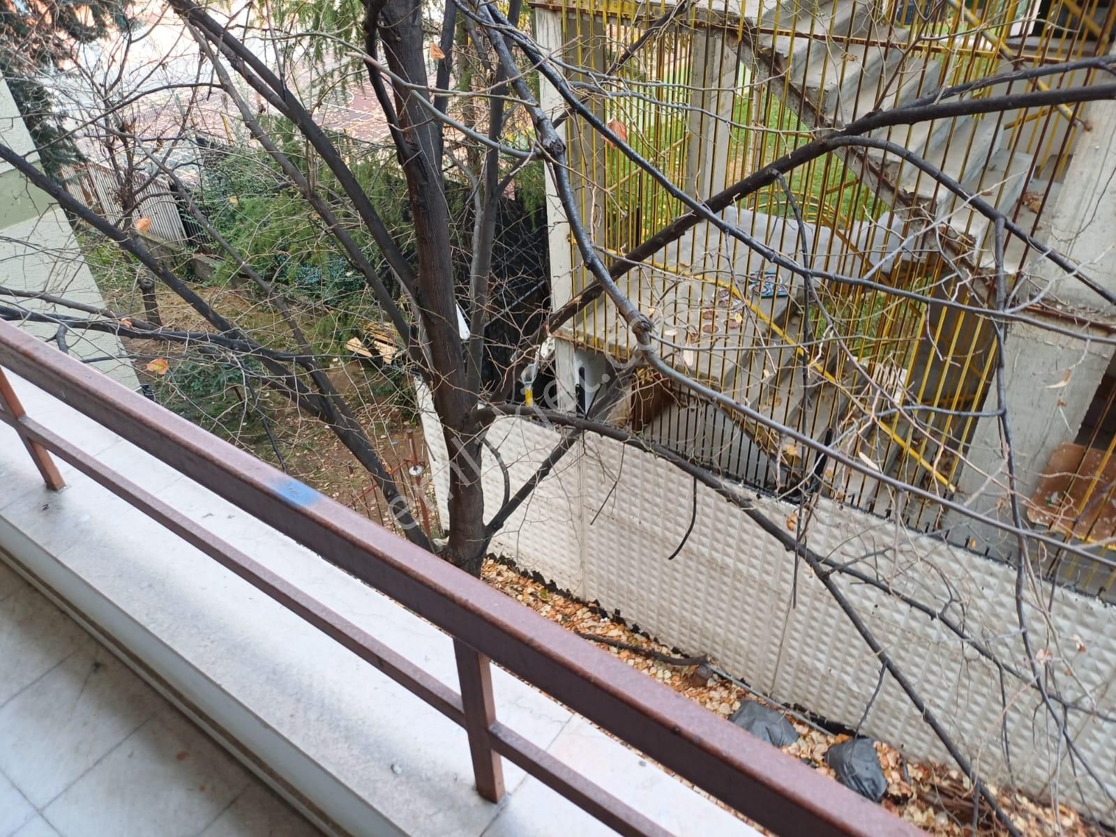 Çankaya Gop Horasan Sokakta Çift Banyolu 170 M2 3,5+1 Giriş Kat Satılık Daire - Görsel 21