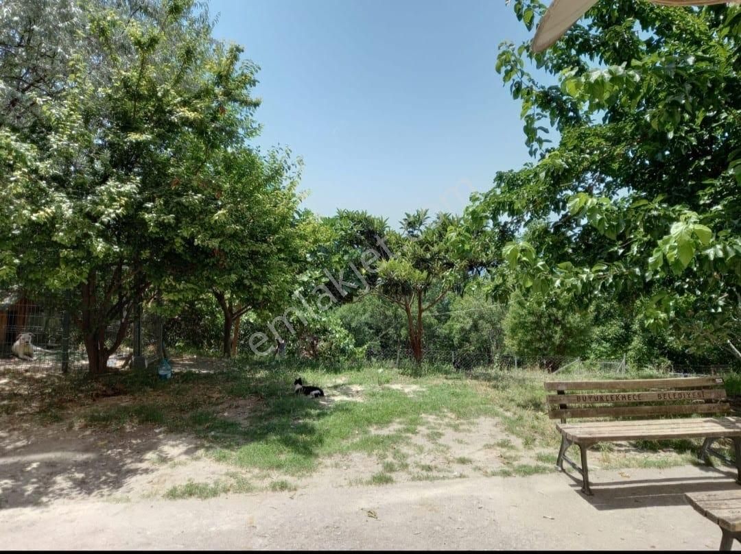 Sahibinden Gürpınar Pınartepe Mah. Cadde Üzeri Mustakil Konumda Geniş Bahçe Ve Deniz Manzaralı Daire - Görsel 9