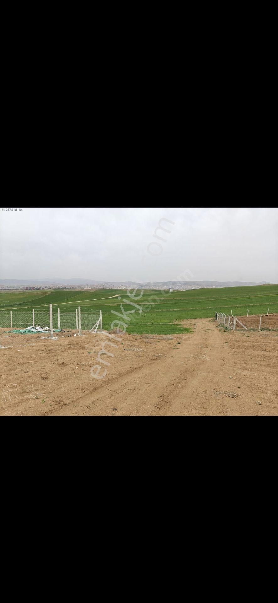 Acil Satılık Arsa - Görsel 7