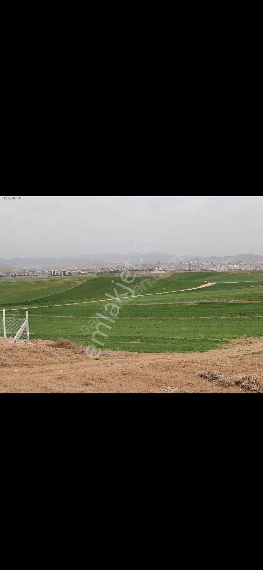 Acil Satılık Arsa - Görsel 4