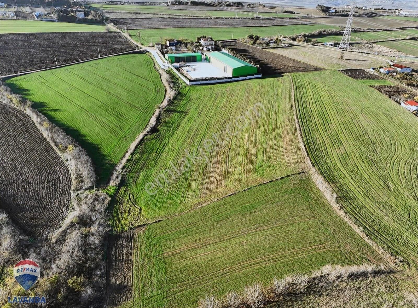 İstanbul Silivri Akörende 12.549 M² İmara Sınır Yatırımlık Tarla - Görsel 2