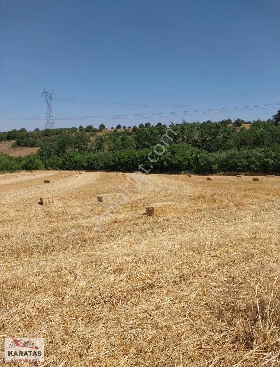 Yenişehir Hamidiye De Satılık Kupon Tarla - Görsel 6