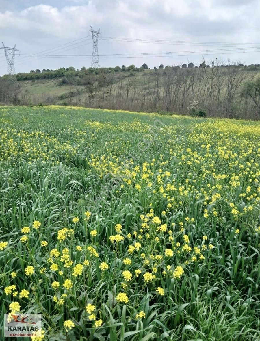 Yenişehir Hamidiye De Satılık Kupon Tarla - Görsel 3
