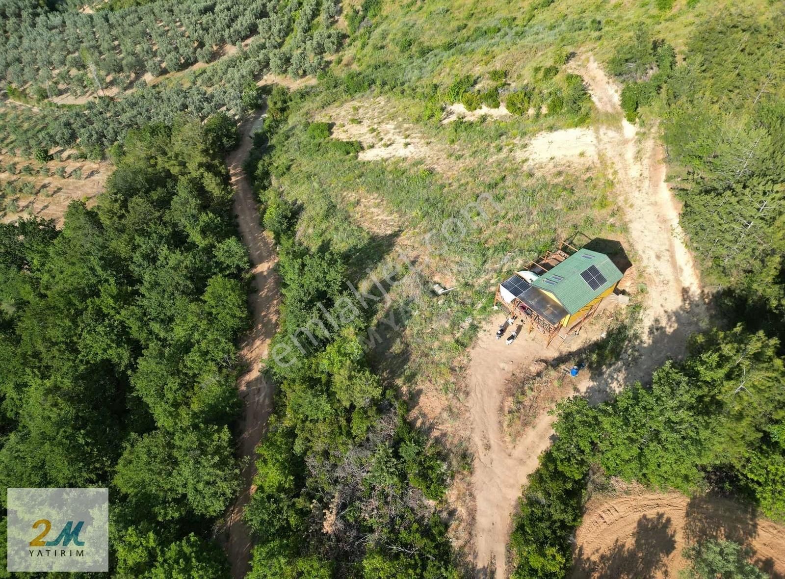 2m Yatırım'dan İznik Çamoluk Mah Satılık Arsa Ve Ahşap Ev - Görsel 31