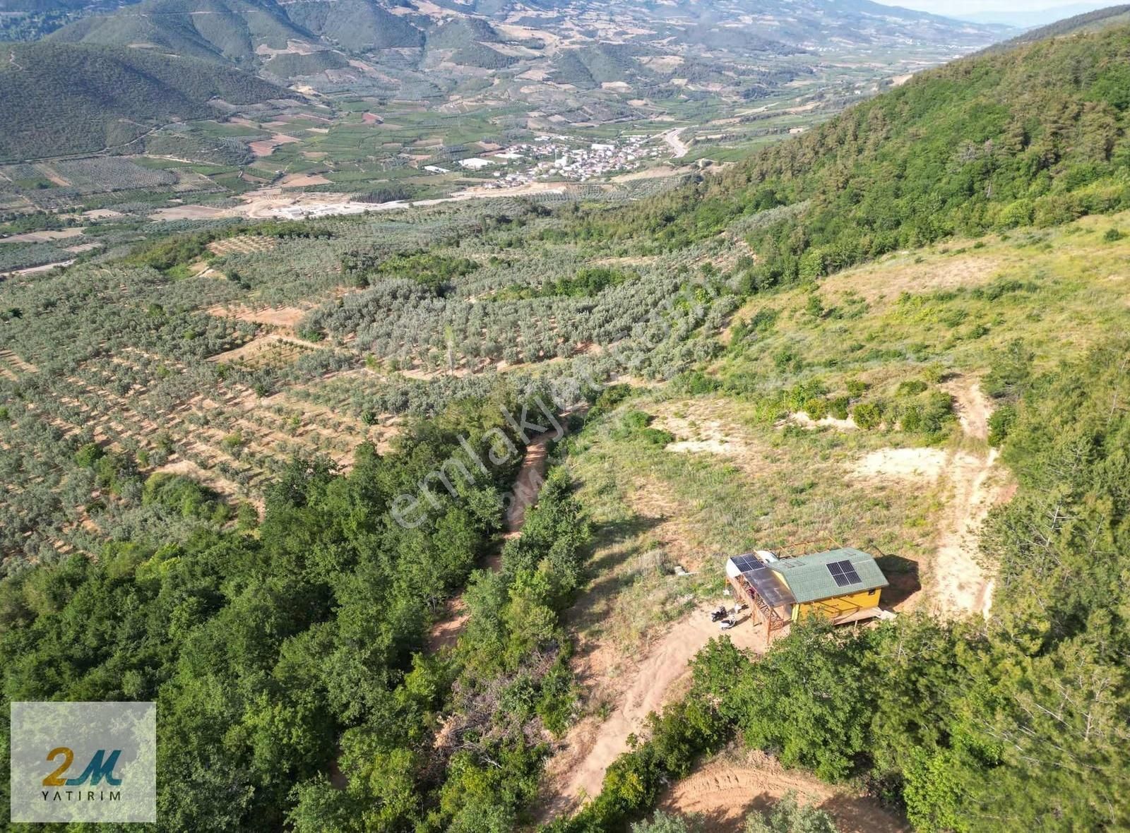 2m Yatırım'dan İznik Çamoluk Mah Satılık Arsa Ve Ahşap Ev - Görsel 5