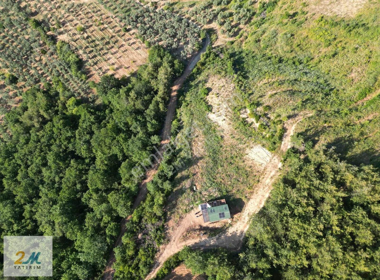 2m Yatırım'dan İznik Çamoluk Mah Satılık Arsa Ve Ahşap Ev - Görsel 29
