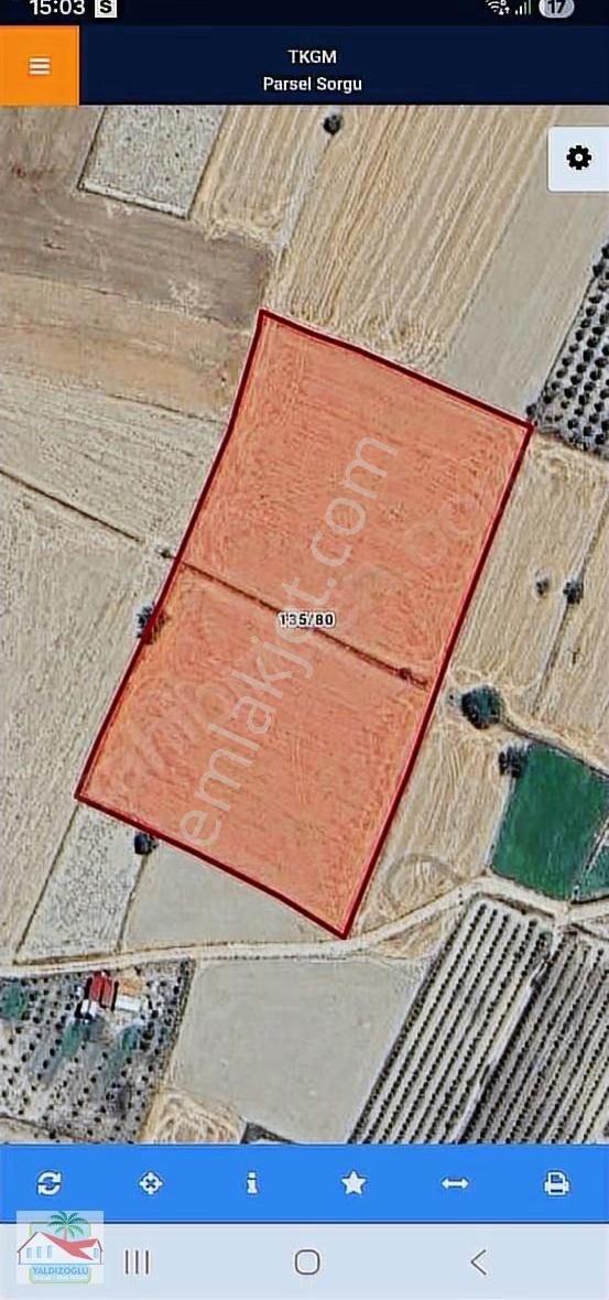 Korkuteli Garipçe'de Satılık 13.780 M2 Resmi Yollu Tarla