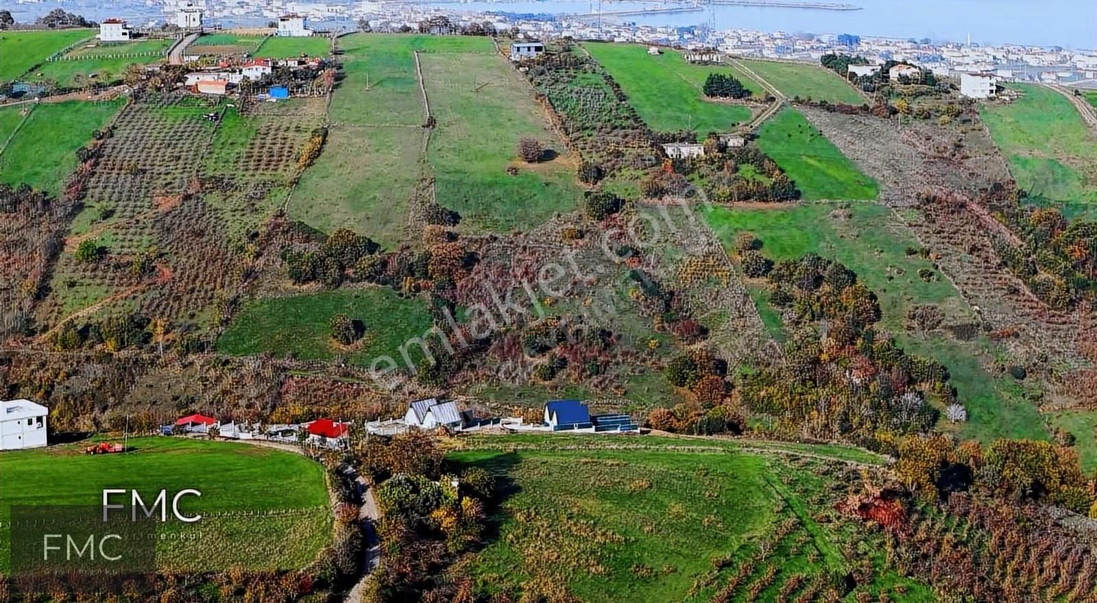 Fmc Gayrimenkul'den Fırsat Niteliğinde Tarla Yatırımı - Görsel 7
