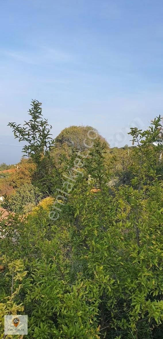 Anıl Emlaktan Mudanya Altıntaşta Köyiçi İmarlı 427 M2 Arsa - Görsel 12