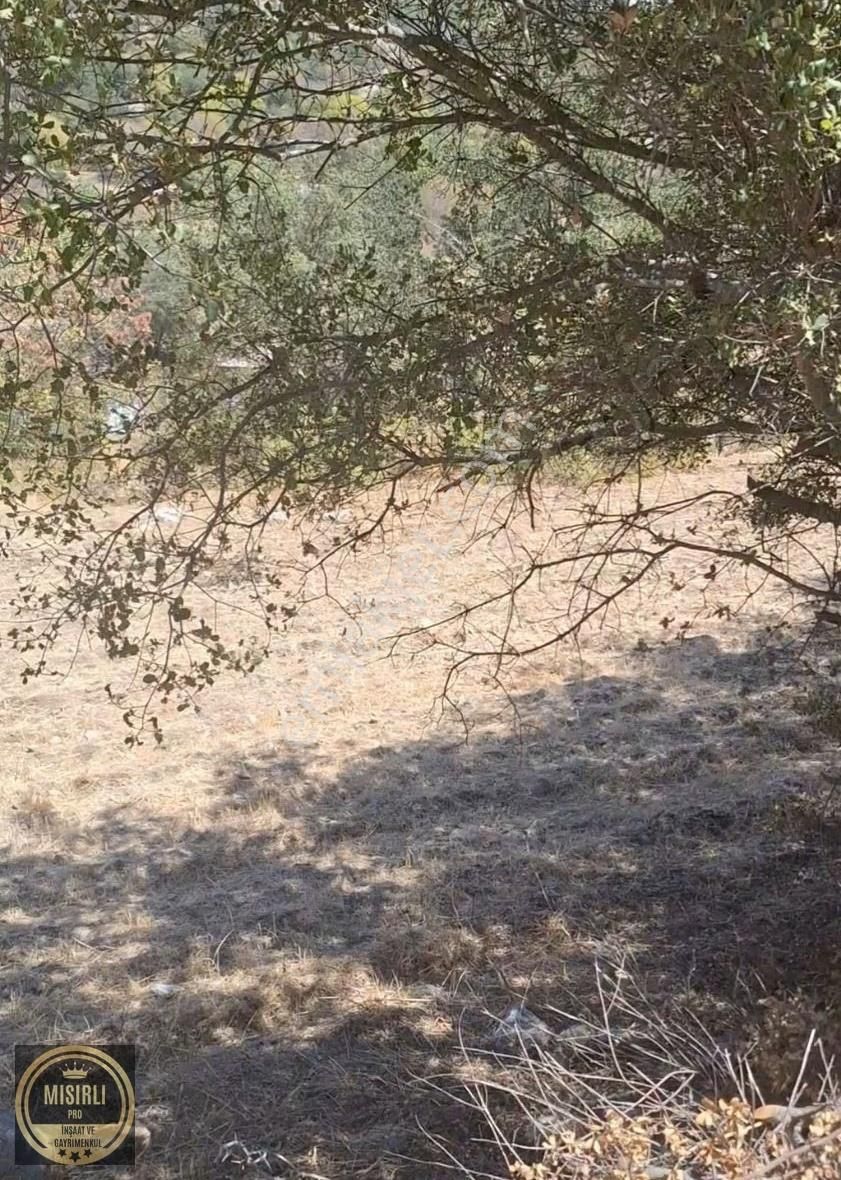 Marmaris Söğüt Köyüde Satılık Arazi - Görsel 2