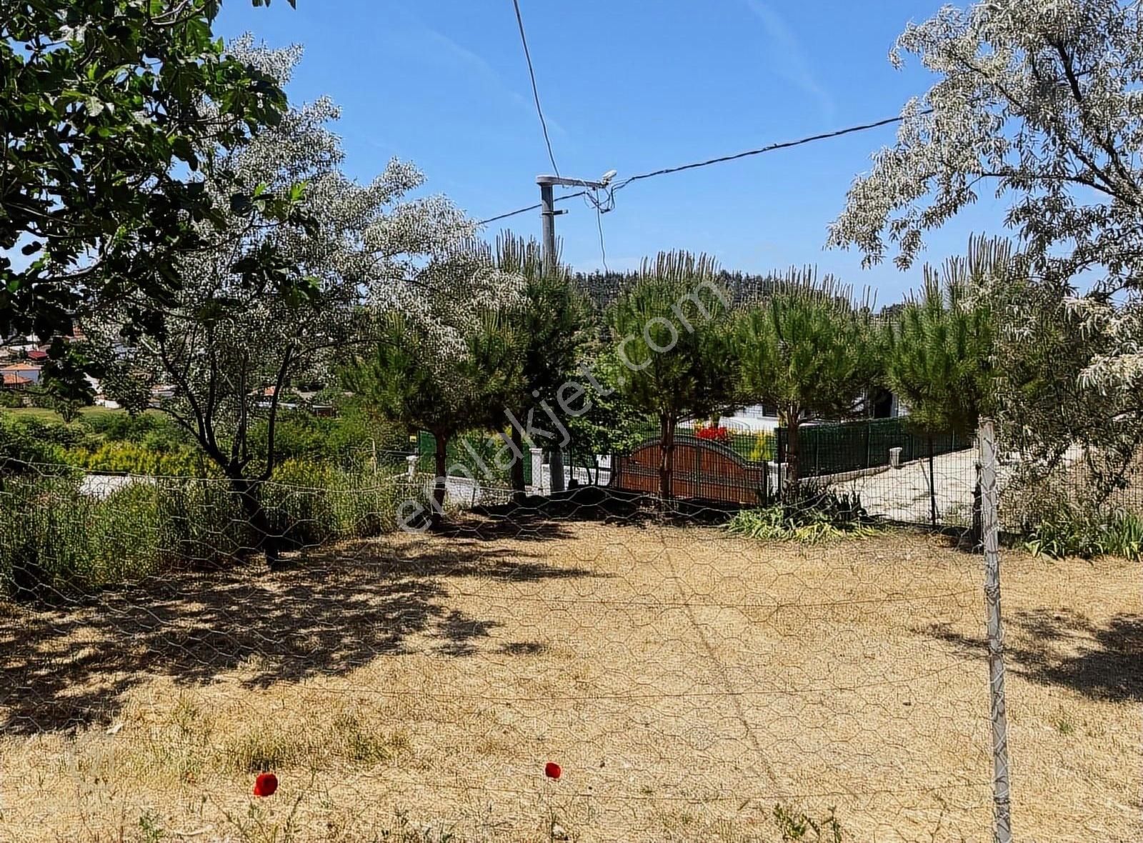 Century21 Bal Pamukçu Dişbudak Köyünde İki Katlı Müstakil Ev - Görsel 31