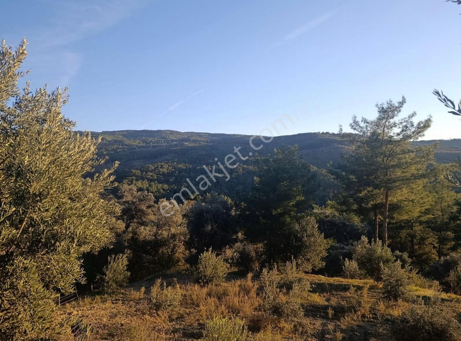 Sahil Ceylanda 7100 M2 Satılık Tarla. - Görsel 22