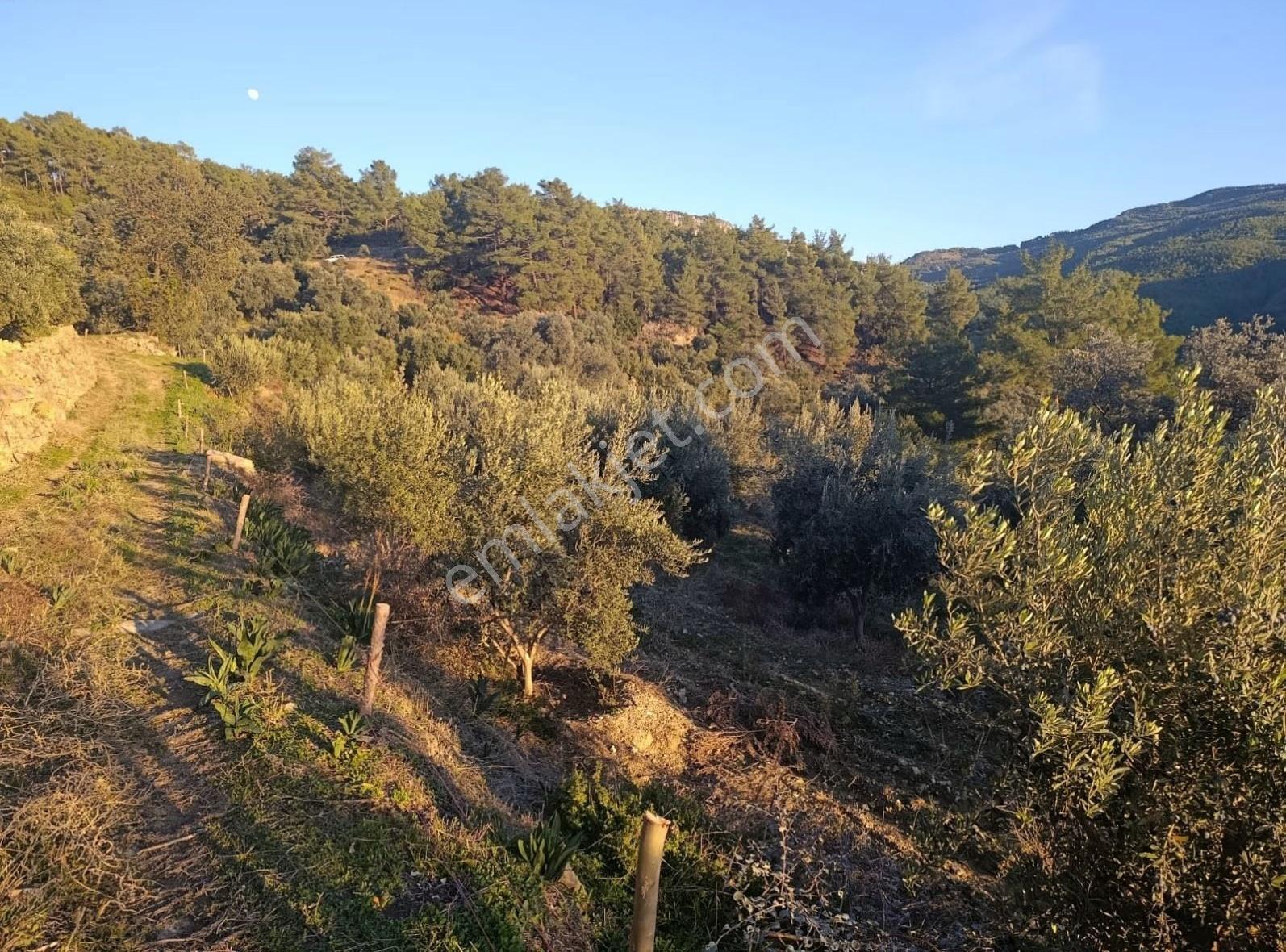 Sahil Ceylanda 7100 M2 Satılık Tarla. - Görsel 30