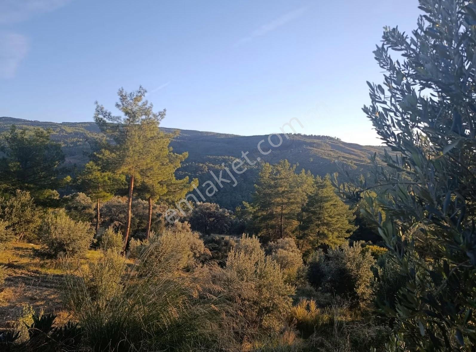Sahil Ceylanda 7100 M2 Satılık Tarla. - Görsel 15
