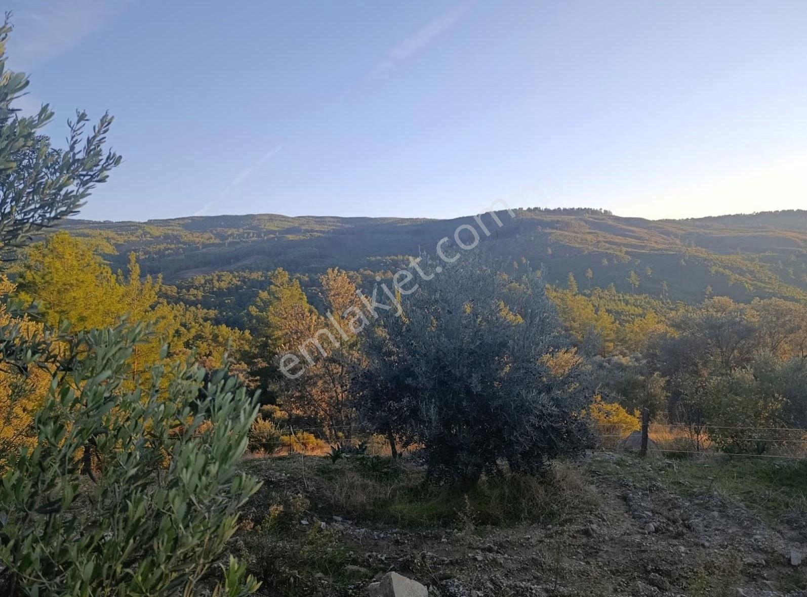 Sahil Ceylanda 7100 M2 Satılık Tarla. - Görsel 14