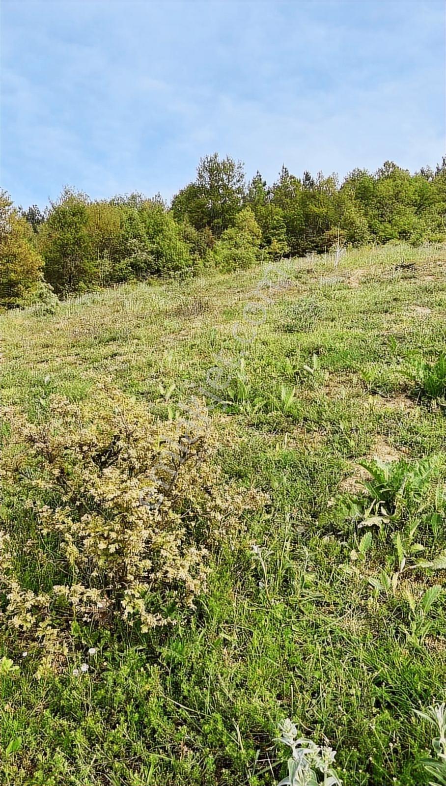 Bursa Kestel Gölçükte Satılık Mükemmel Konumda Tarla - Görsel 14