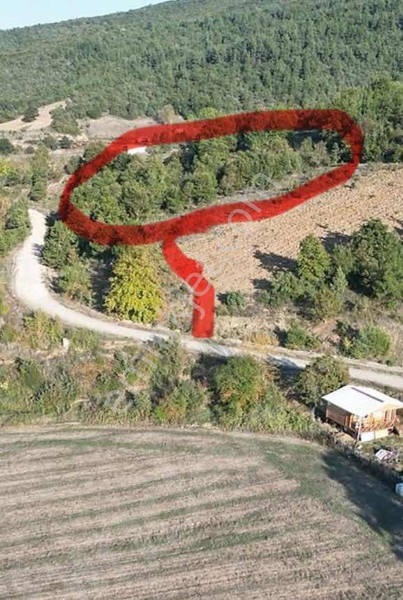 Bursa Kestel Gölçükte Satılık Mükemmel Konumda Tarla - Görsel 20