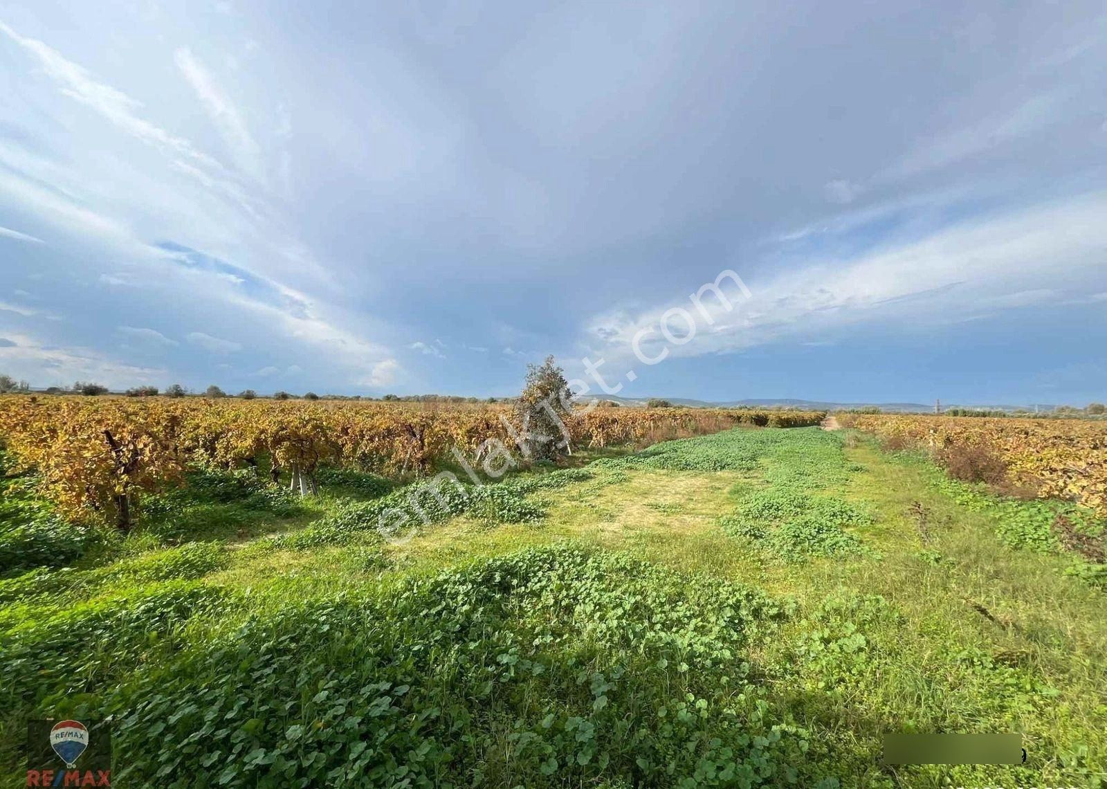 Menemen Çavuşköy’de Çanakkale Asfaltı Yakını 8.100 M2 Satılık Bağ - Görsel 3