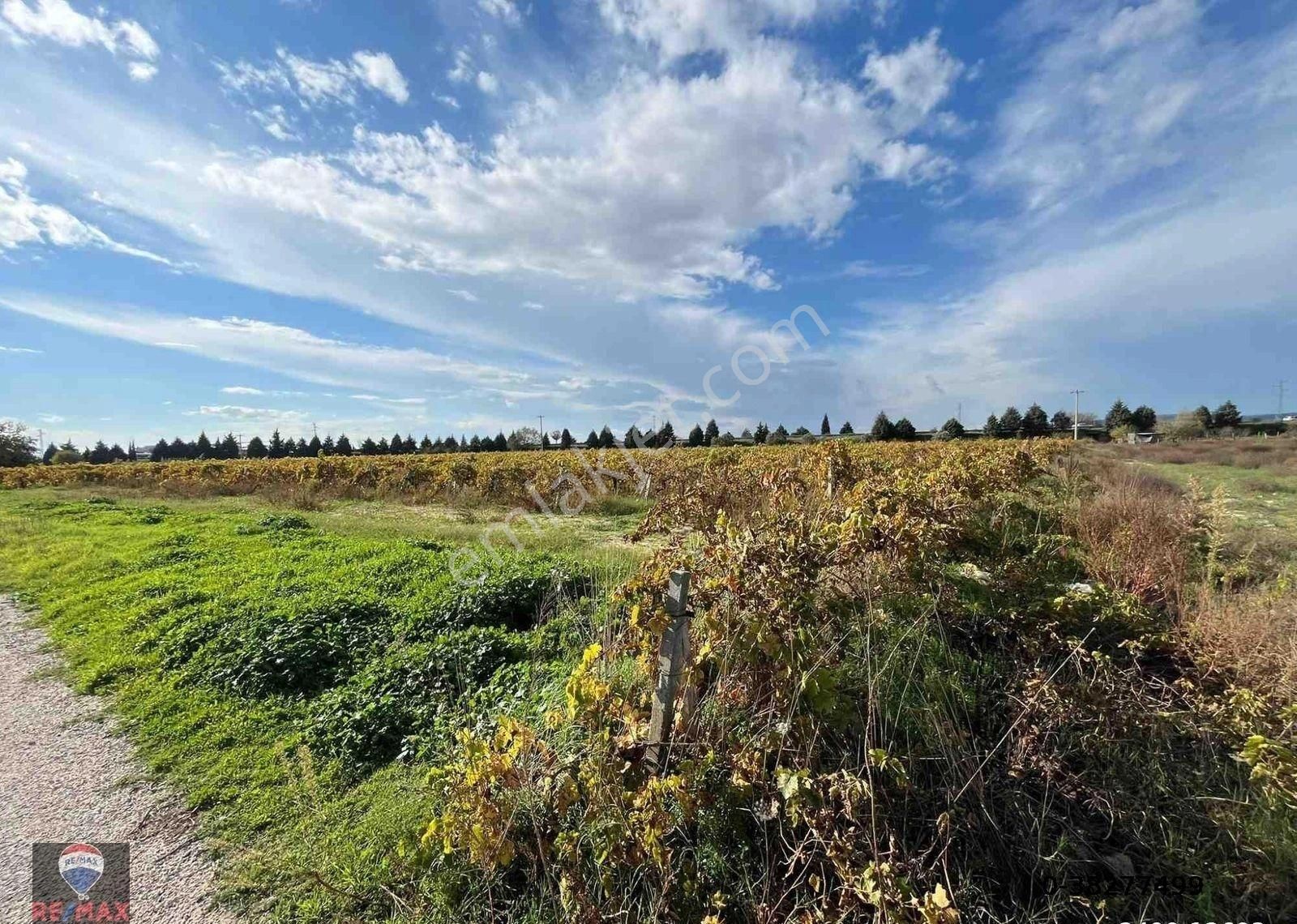 Menemen Çavuşköy’de Çanakkale Asfaltı Yanı 6.500 M2 Satılık Bağ - Görsel 10