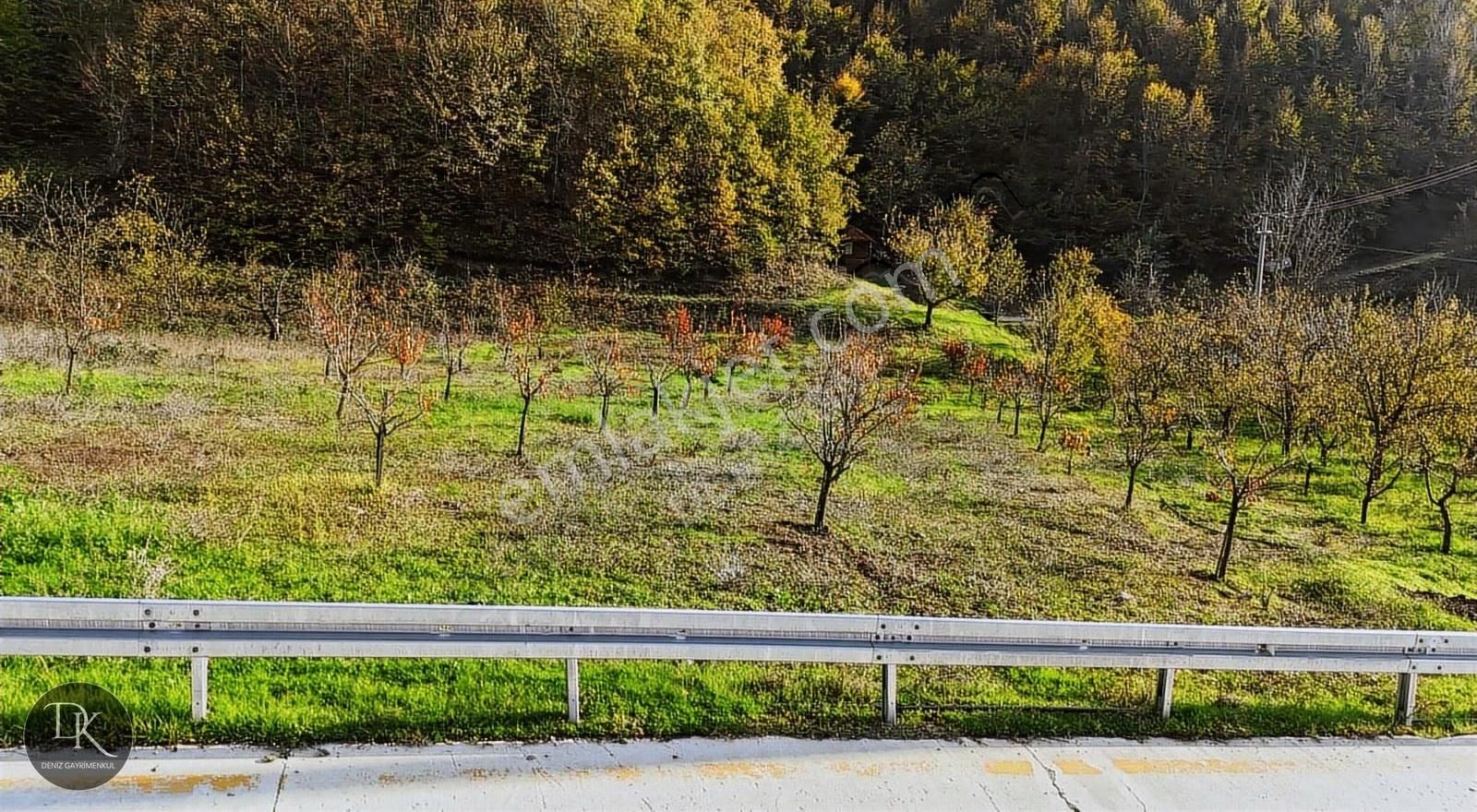 Deniz'den Akçat Mh'de İçinde Ev Bulunan %5 İmarlı Tarla - Görsel 10