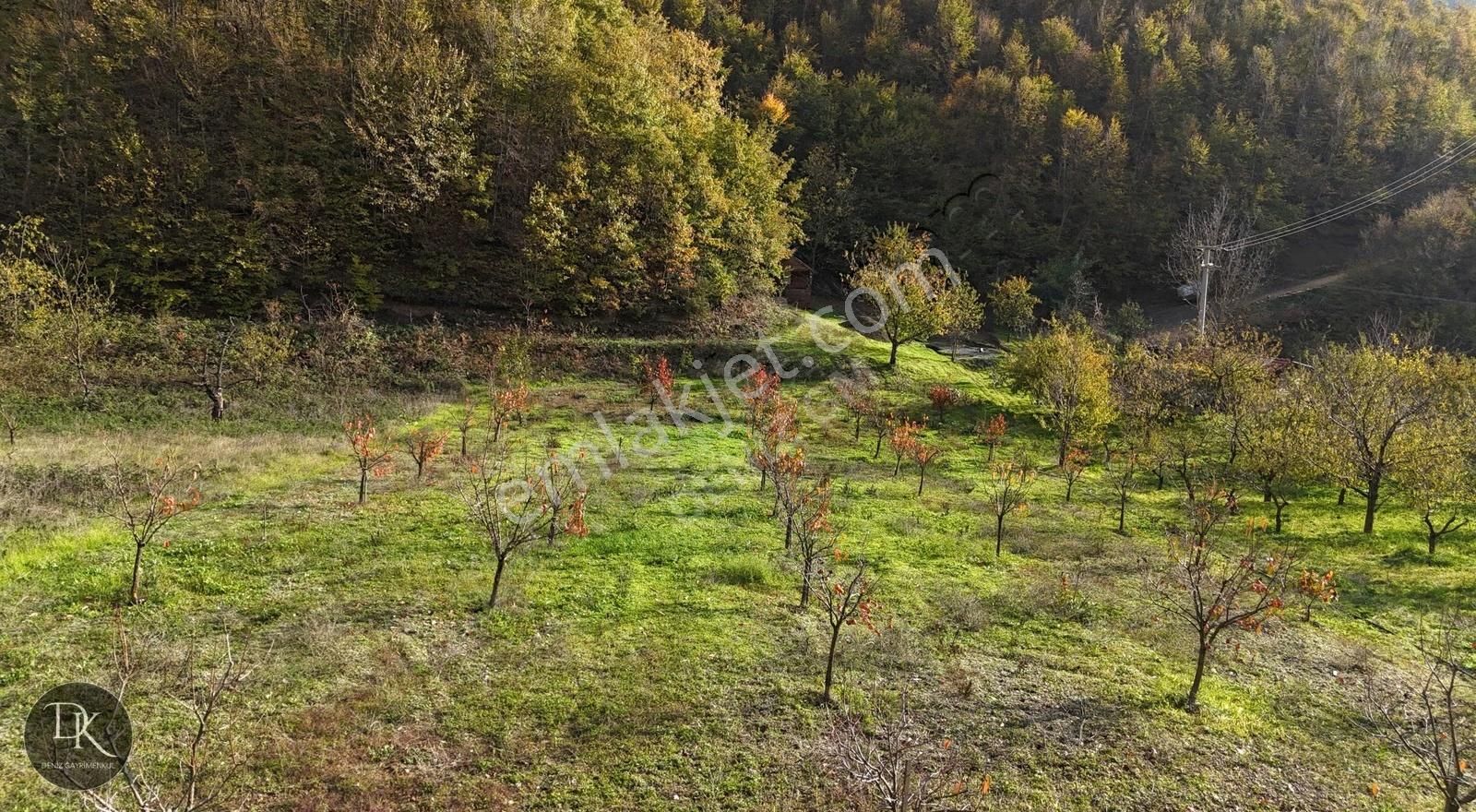 Deniz'den Akçat Mh'de İçinde Ev Bulunan %5 İmarlı Tarla - Görsel 6