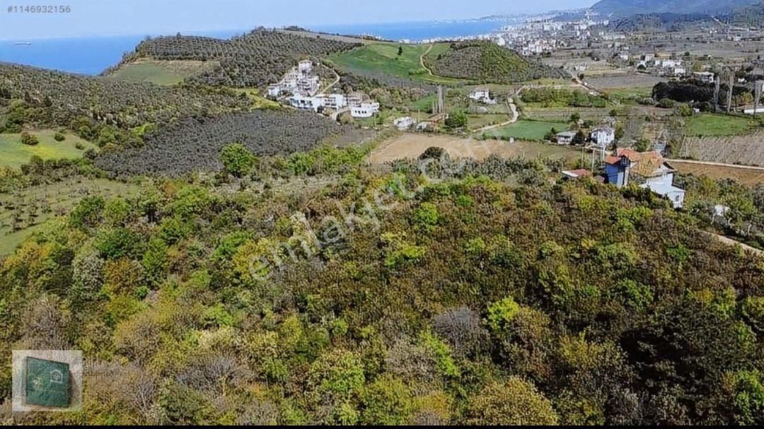Yalova Çınarcık Kocadere'de Satılık Fırsat Arazi - Görsel 12