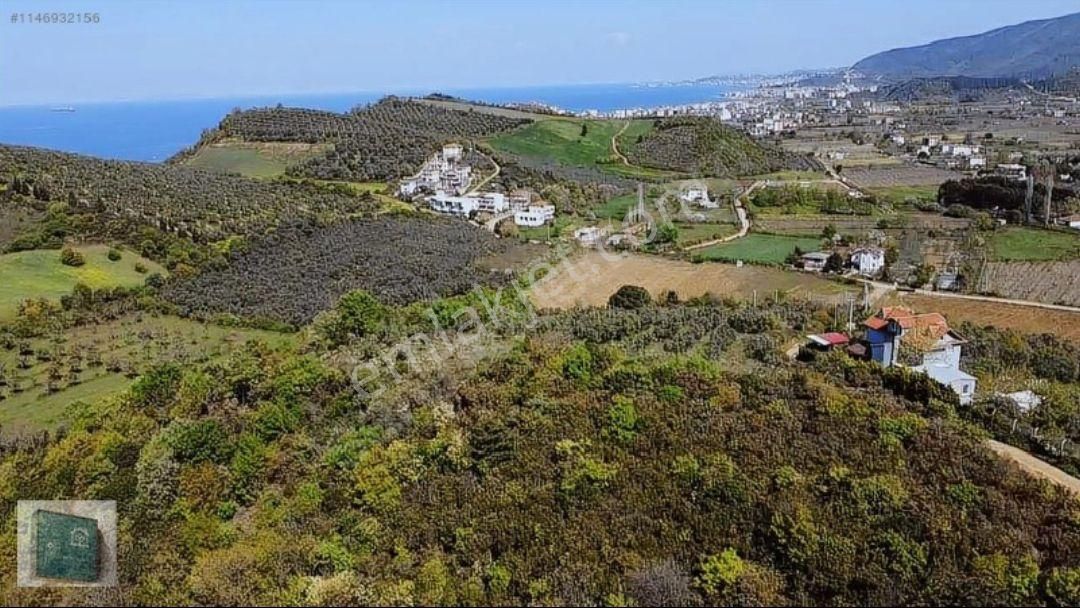 Yalova Çınarcık Kocadere'de Satılık Fırsat Arazi - Görsel 2
