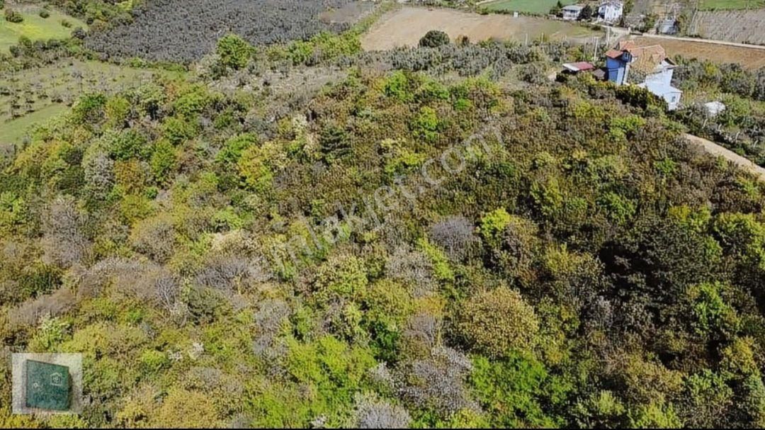 Yalova Çınarcık Kocadere'de Satılık Fırsat Arazi - Görsel 10