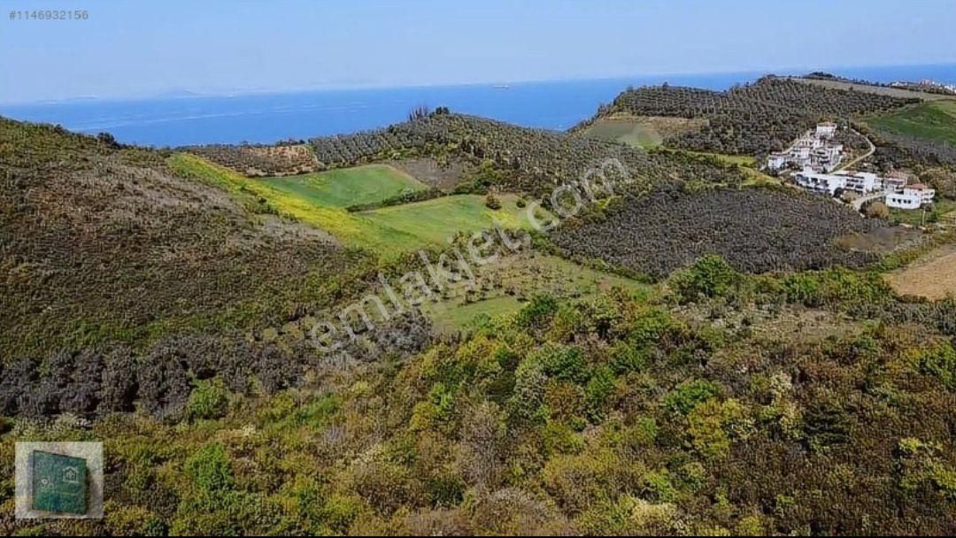 Yalova Çınarcık Kocadere'de Satılık Fırsat Arazi - Görsel 3
