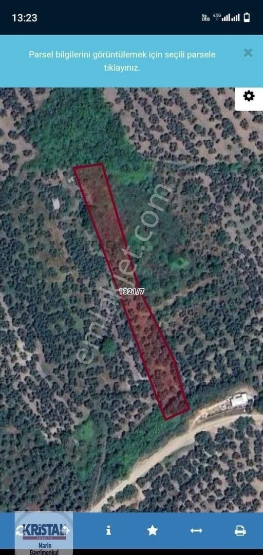 Kristal Marin'den Mudanya Ömerbey Mah. Satılık Zeytinlik