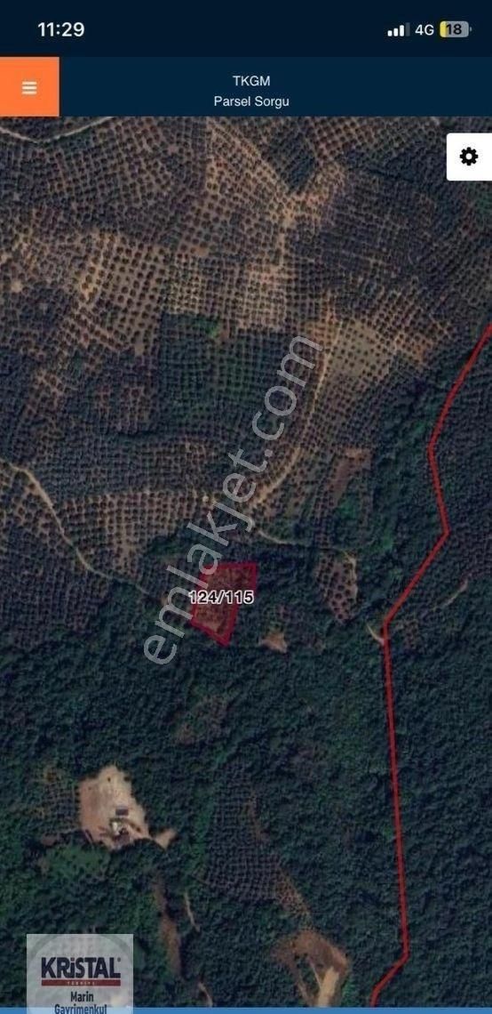 Kristal Marin'den Orhangazi Heceler'de Satılık Fırsat Arazi - Görsel 2