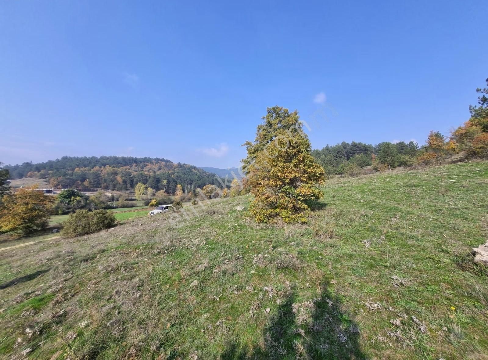 Pamukova Çilekli Mahallesinde Manaralı 2743 M² Arazi - Görsel 7