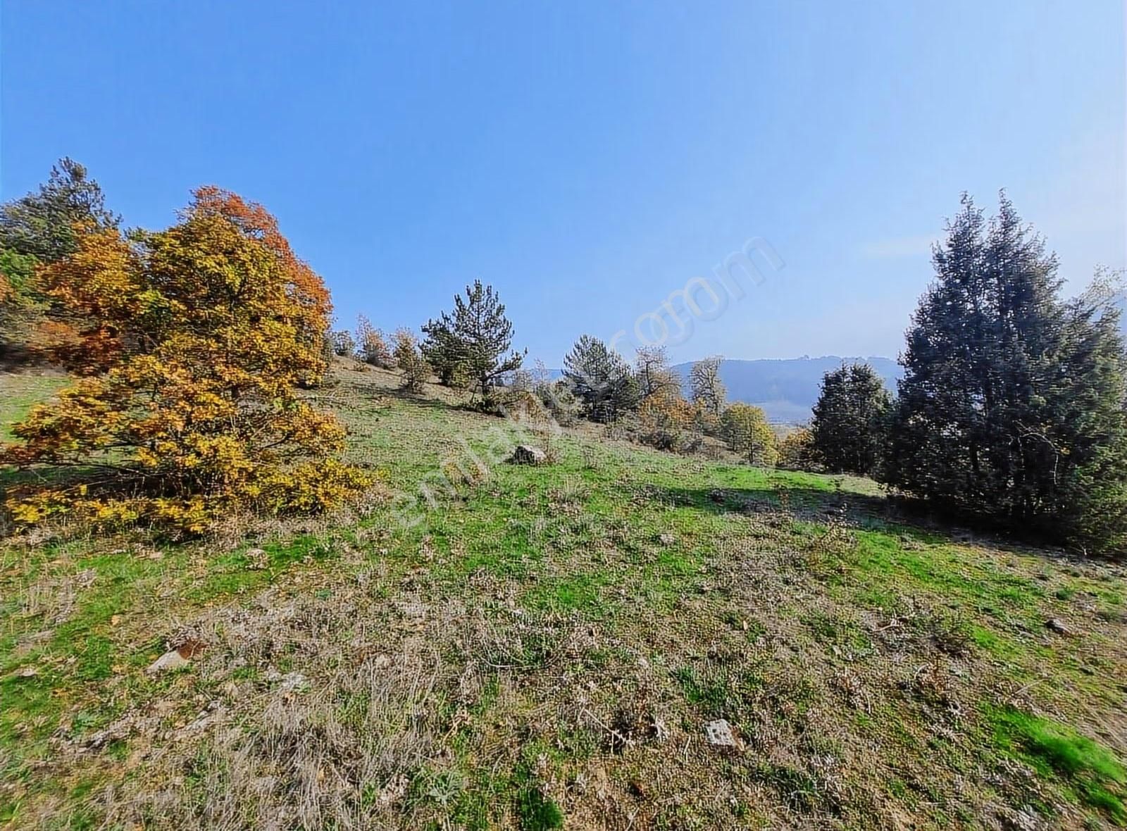 Pamukova Çilekli Mahallesinde Manaralı 2743 M² Arazi - Görsel 6