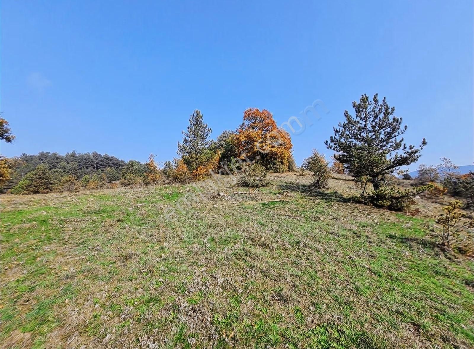 Pamukova Çilekli Mahallesinde Manaralı 2743 M² Arazi - Görsel 21