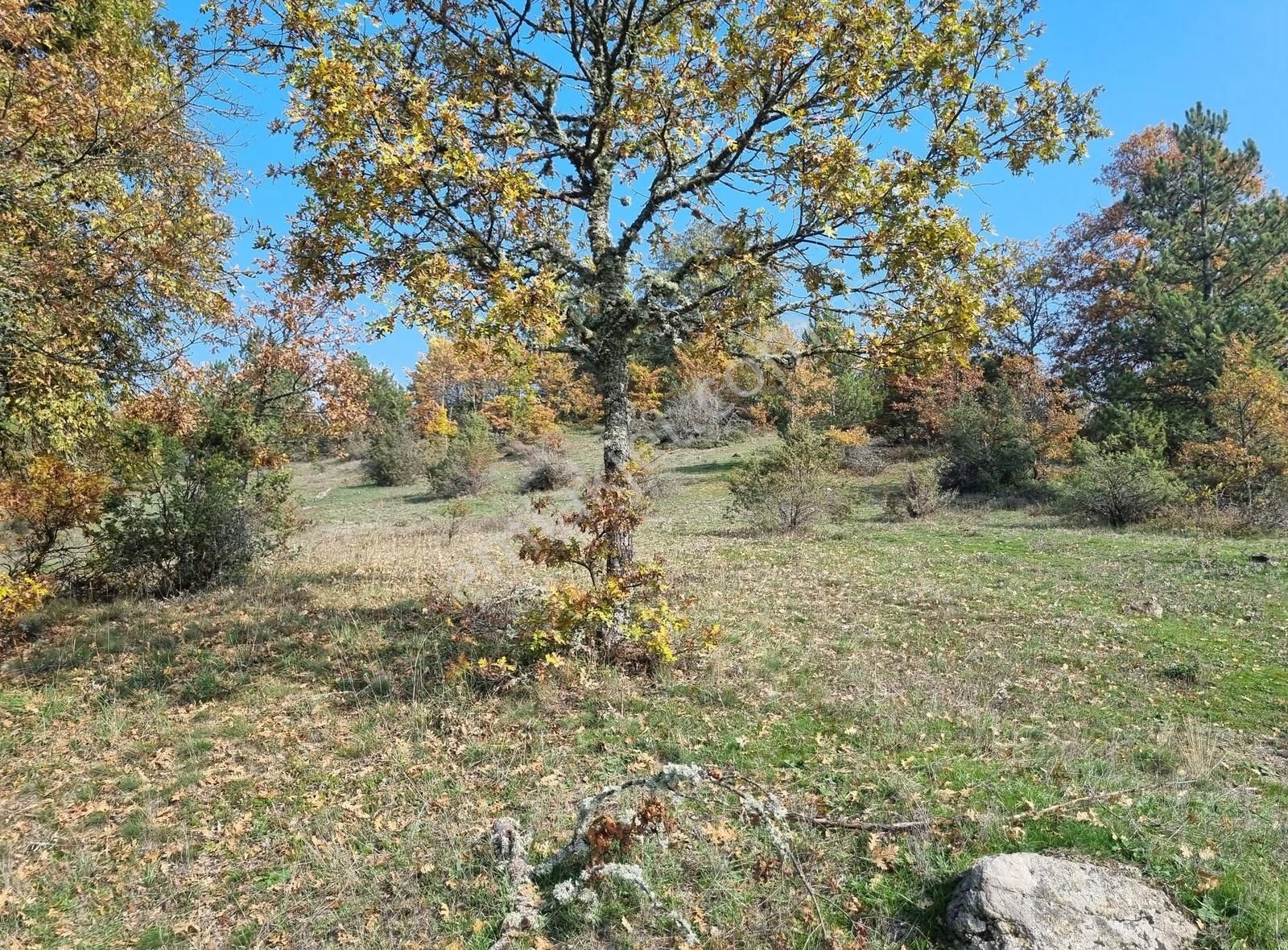 Pamukova Çilekli Mahallesinde Manaralı 2743 M² Arazi - Görsel 10