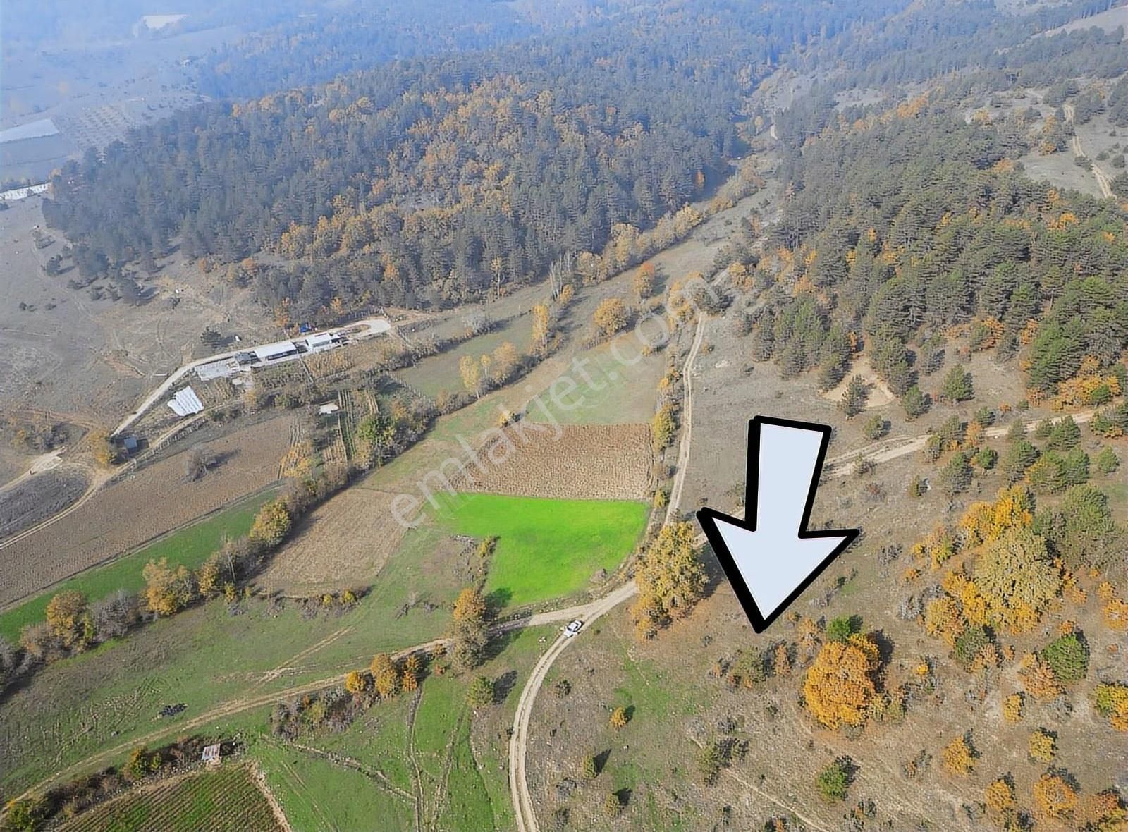 Pamukova Çilekli Mahallesinde Manaralı 2743 M² Arazi - Görsel 5