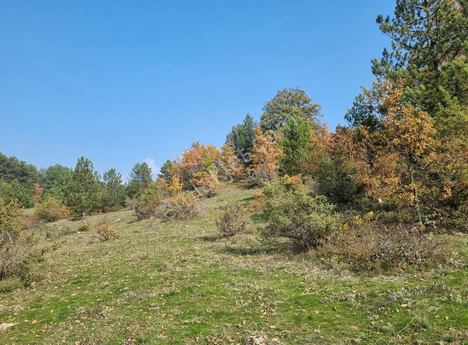 Pamukova Çilekli Mahallesinde Manaralı 2743 M² Arazi - Görsel 17