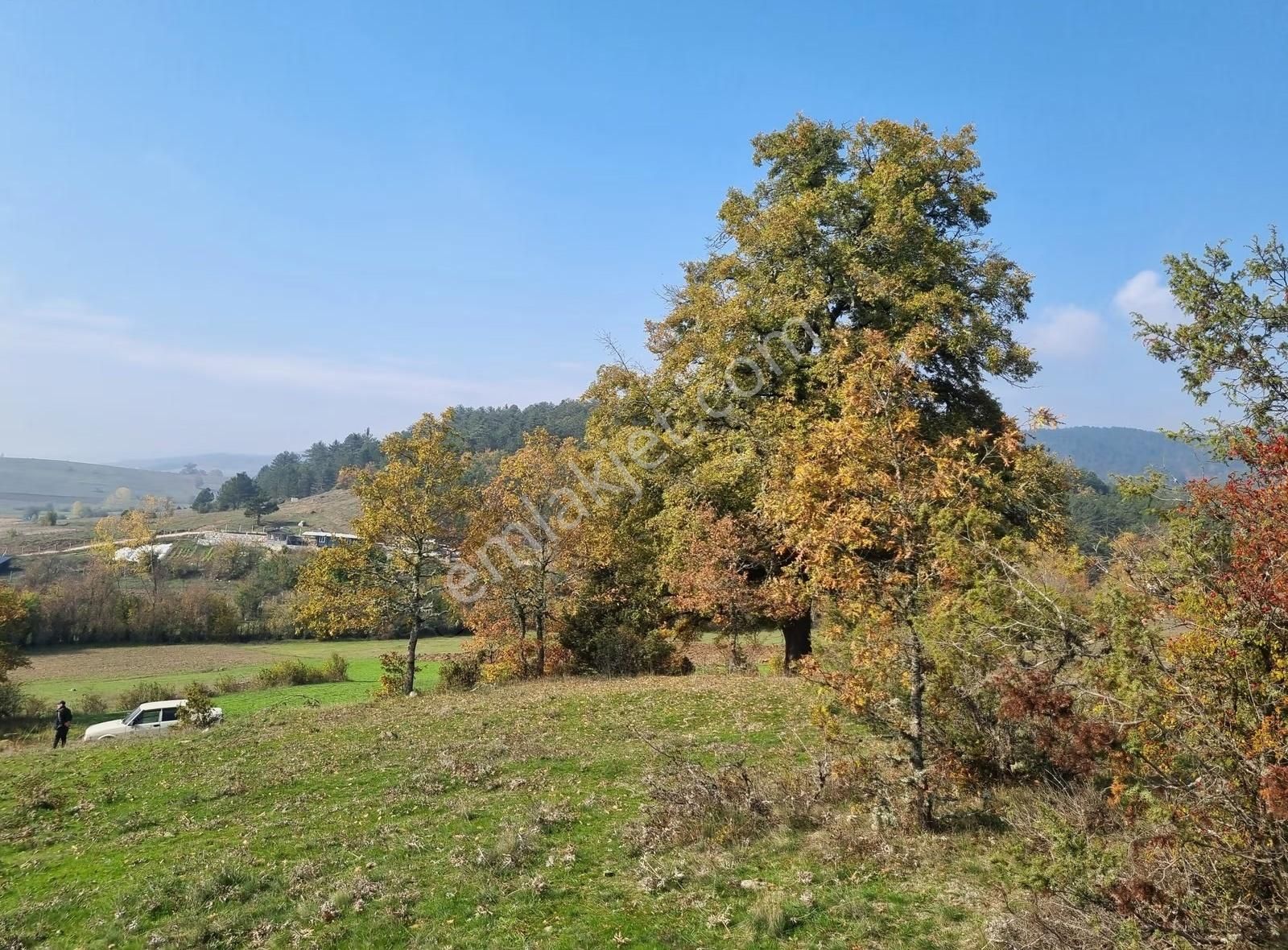 Pamukova Çilekli Mahallesinde Manaralı 2743 M² Arazi - Görsel 15