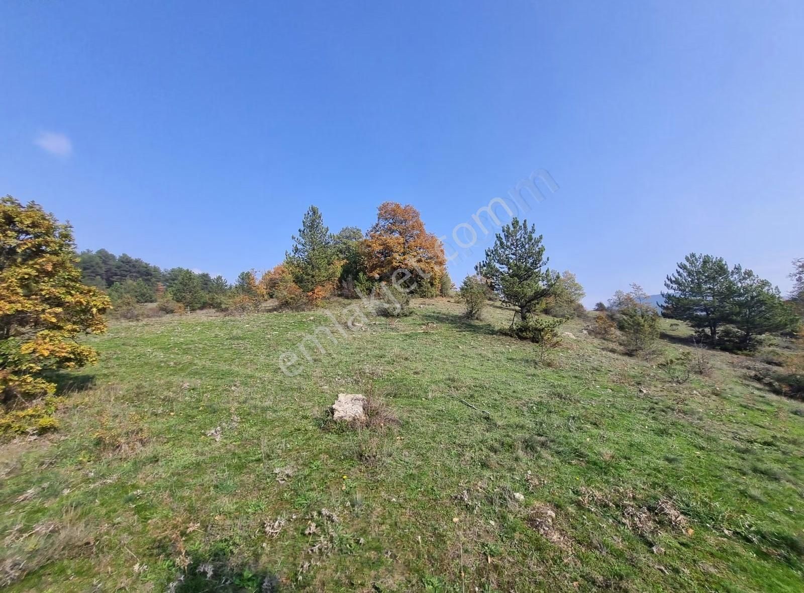 Pamukova Çilekli Mahallesinde Manaralı 2743 M² Arazi - Görsel 14