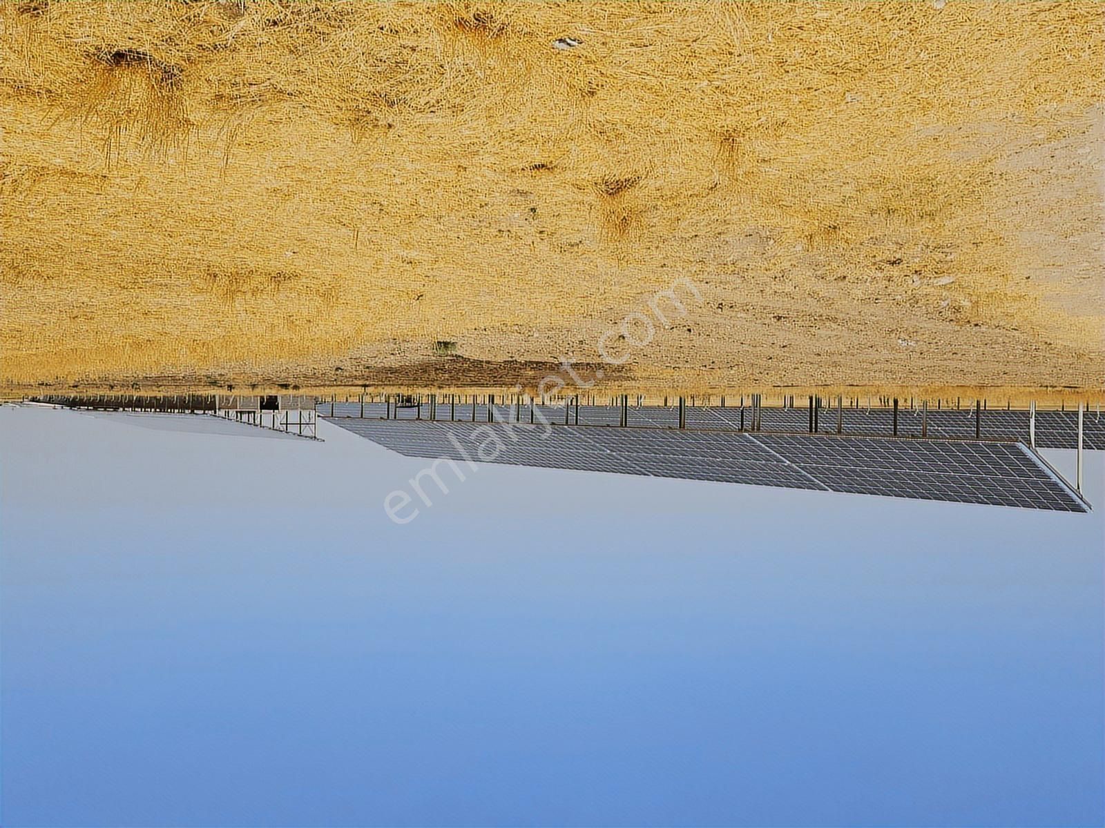 Ev Ruhsatlı, Büyük Hobi Bahçesi Doğayla İç İçe Yaşam - Görsel 6