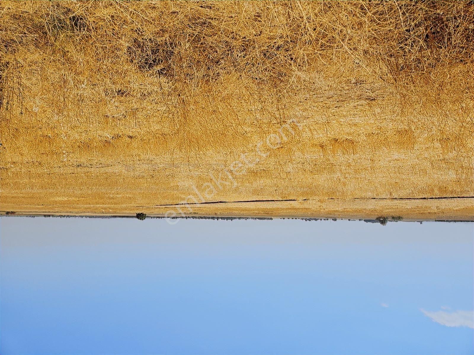 Ev Ruhsatlı, Büyük Hobi Bahçesi Doğayla İç İçe Yaşam - Görsel 10
