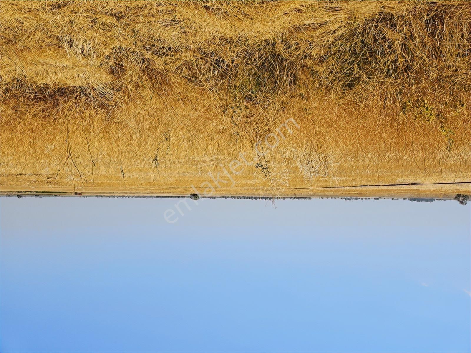 Ev Ruhsatlı, Büyük Hobi Bahçesi Doğayla İç İçe Yaşam - Görsel 7