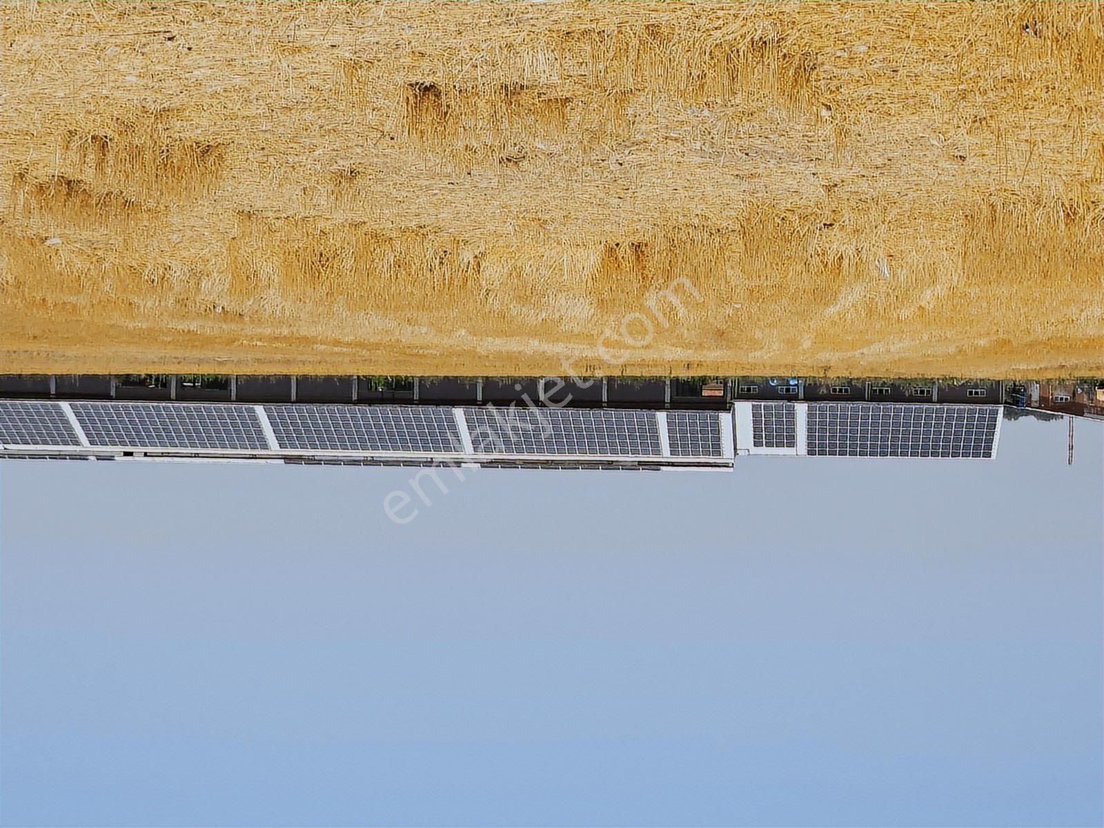 Ev Ruhsatlı, Büyük Hobi Bahçesi Doğayla İç İçe Yaşam - Görsel 2