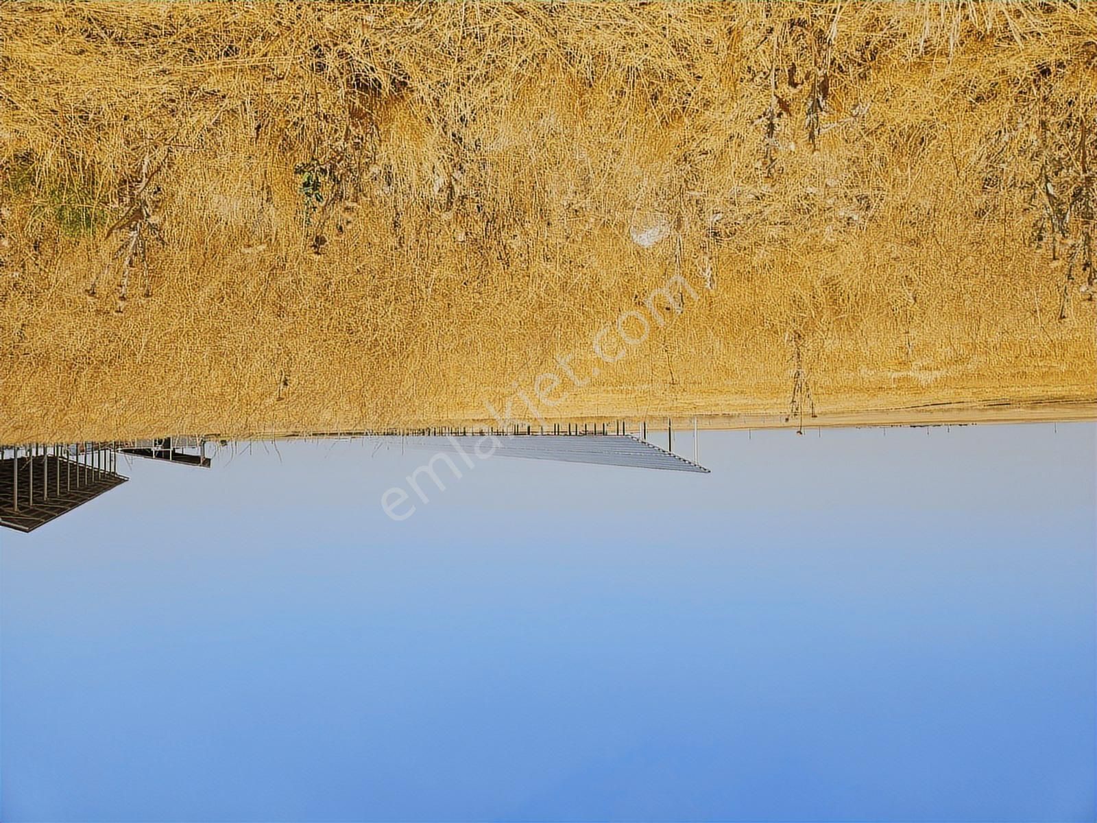 Ev Ruhsatlı, Büyük Hobi Bahçesi Doğayla İç İçe Yaşam - Görsel 5